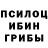 Галлюциногенные грибы Psilocybe RAFIK SAPAYEV