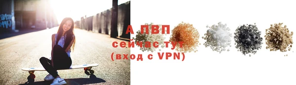 сатива Чегем